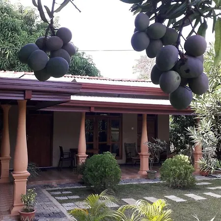 Shan Mango Homestay Sigiriya Exterior photo
