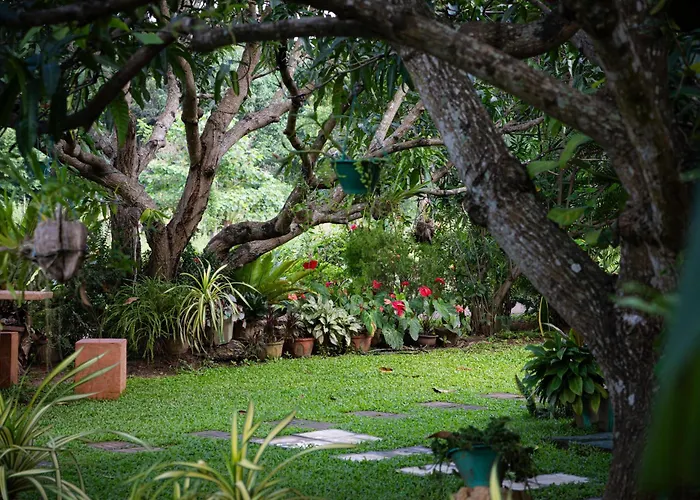Shan Mango Homestay
