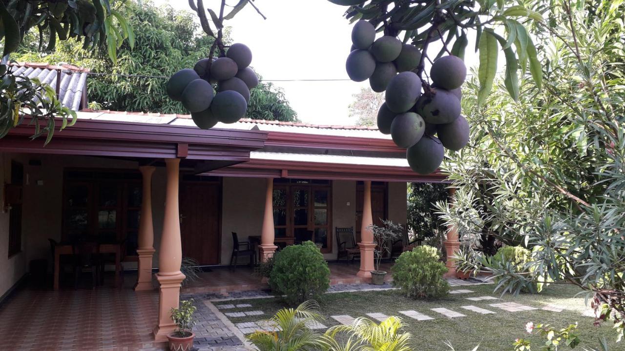 Shan Mango
