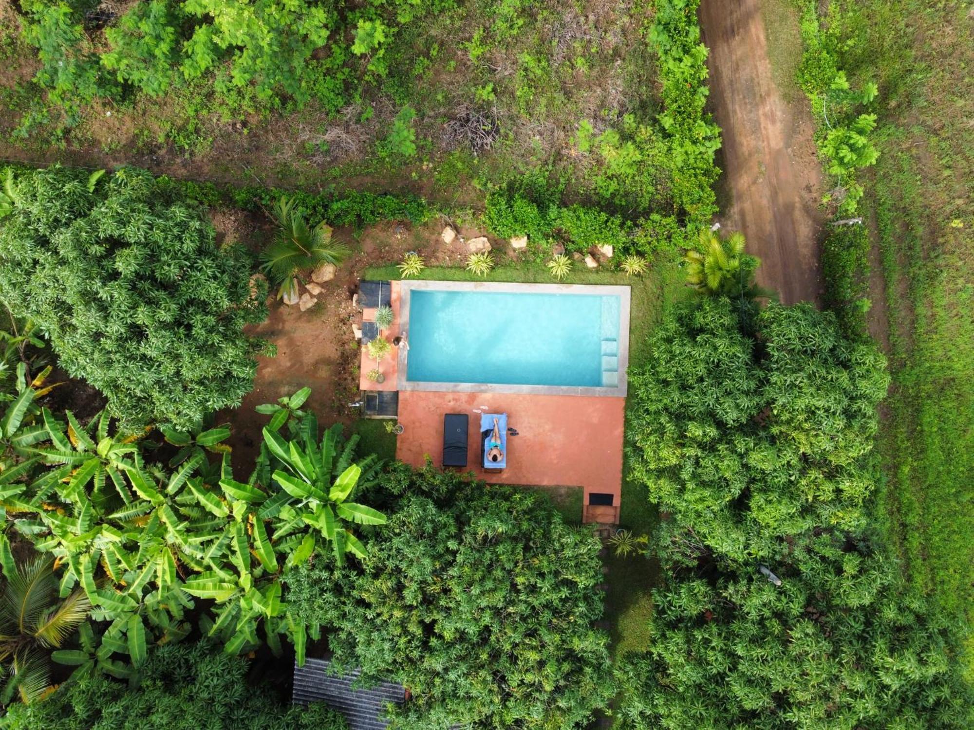 Shan Mango Sigiriya