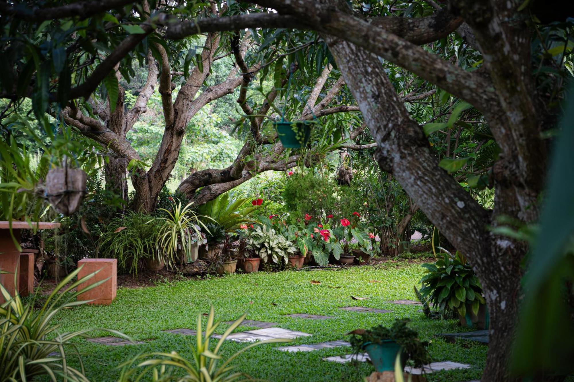 Homestay Shan Mango