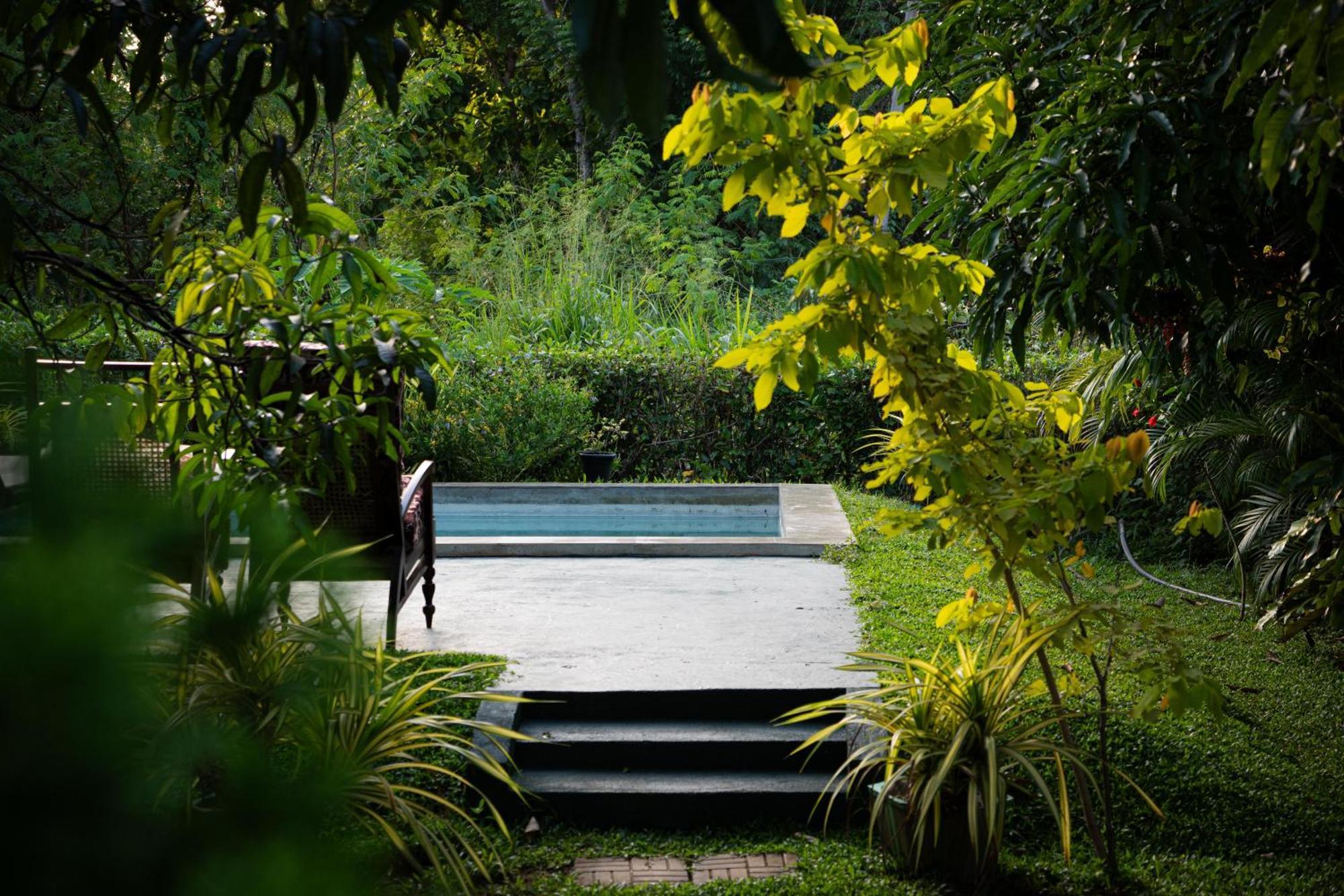 Homestay Shan Mango *